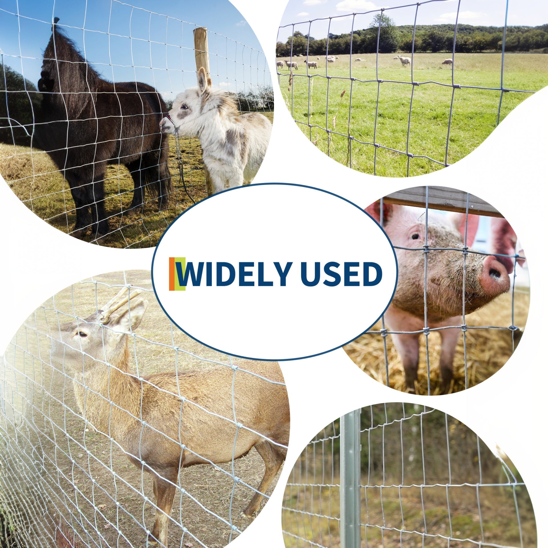 Garvee Cerca para Ganado 1.5x50m Alambre Galvanizado Malla Soldada Resistente Duradera Ganaderos, Agricultores Granjas, Campos, Residencias Plata