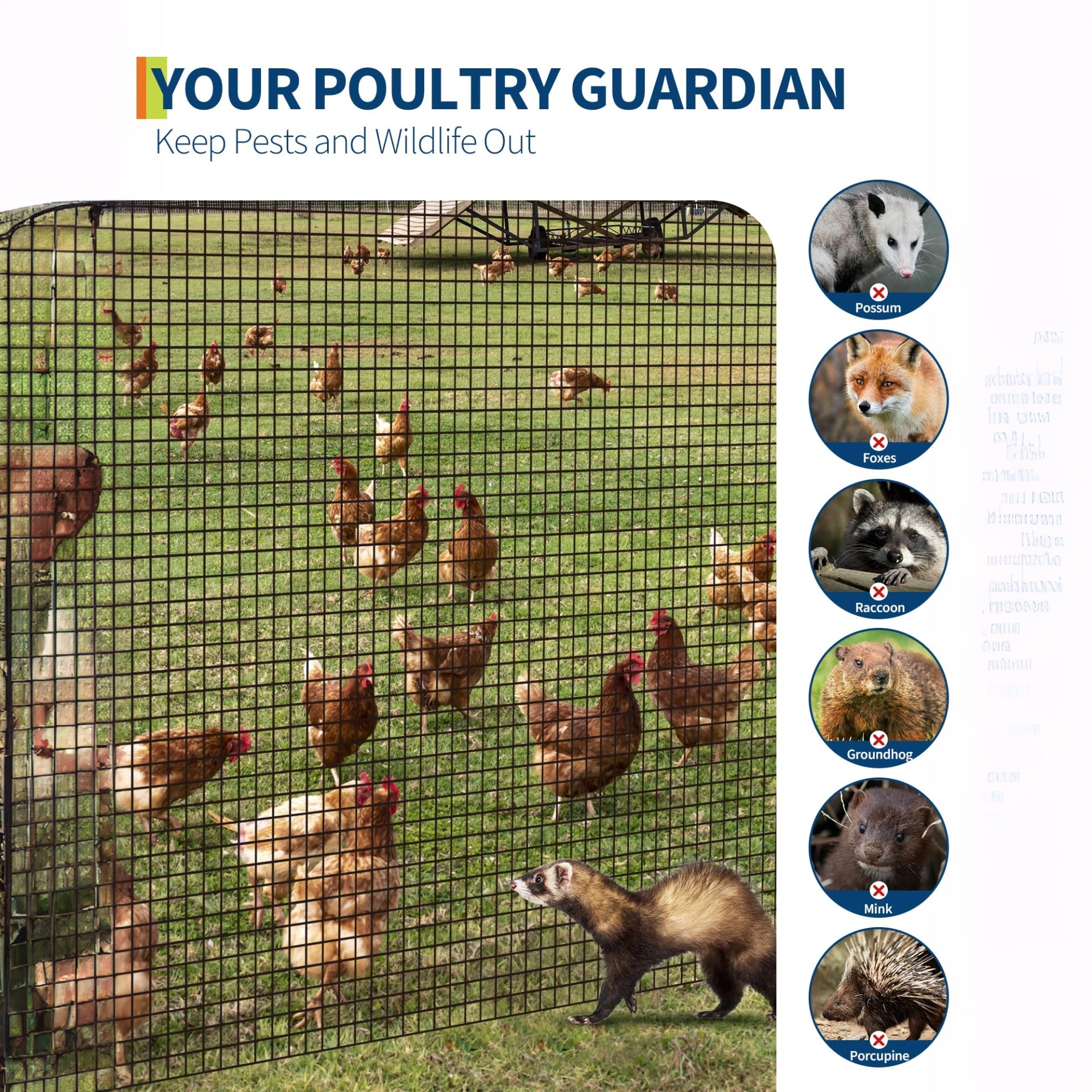 Garvee Malla De Alambre Recubierta De Vinilo Negra 0.9 x 15 m 19 Calibre Para Gallineros Y Jardines