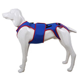 Garvee Vendaje Lumbar para Perros, Ajustable, Talla XL 48cm, Azul, Soporte Ortopédico para Artritis e IVDD, para Uso Diario