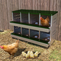 Garvee Caja de Anidación para Gallinas 2 Capas 8 Compartimentos, Acero Galvanizado, Con 8 Huevos Falsos, Bandeja de Recolección Barra para Posarse, Resistente a la Oxidación, Verde Oscuro