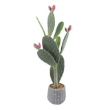 Garvee Cactus Artificial 107 cm EVA Realista, Maceta PP Cemento, Decoración Interior y Exterior, Verde - Rosa