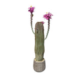 Garvee Cactus Artificial Alto Realista con Maceta Blanca, Bajo Mantenimiento, Material PE, Decoración Interior y Exterior, 109 cm, Verde - 