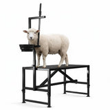 Garvee Mesa Para Cabras, Capacidad 181kg, con Tolva, Plataforma 89x58cm, Ajustable, Acero Antióxido, Plegable para Ordeño y Cuidado Animal