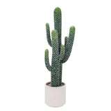 Garvee Planta Artificial de Cactus Alto UV Resistente con Textura Realista, Material EVA, Para Decoración Interior y Exterior, Verde