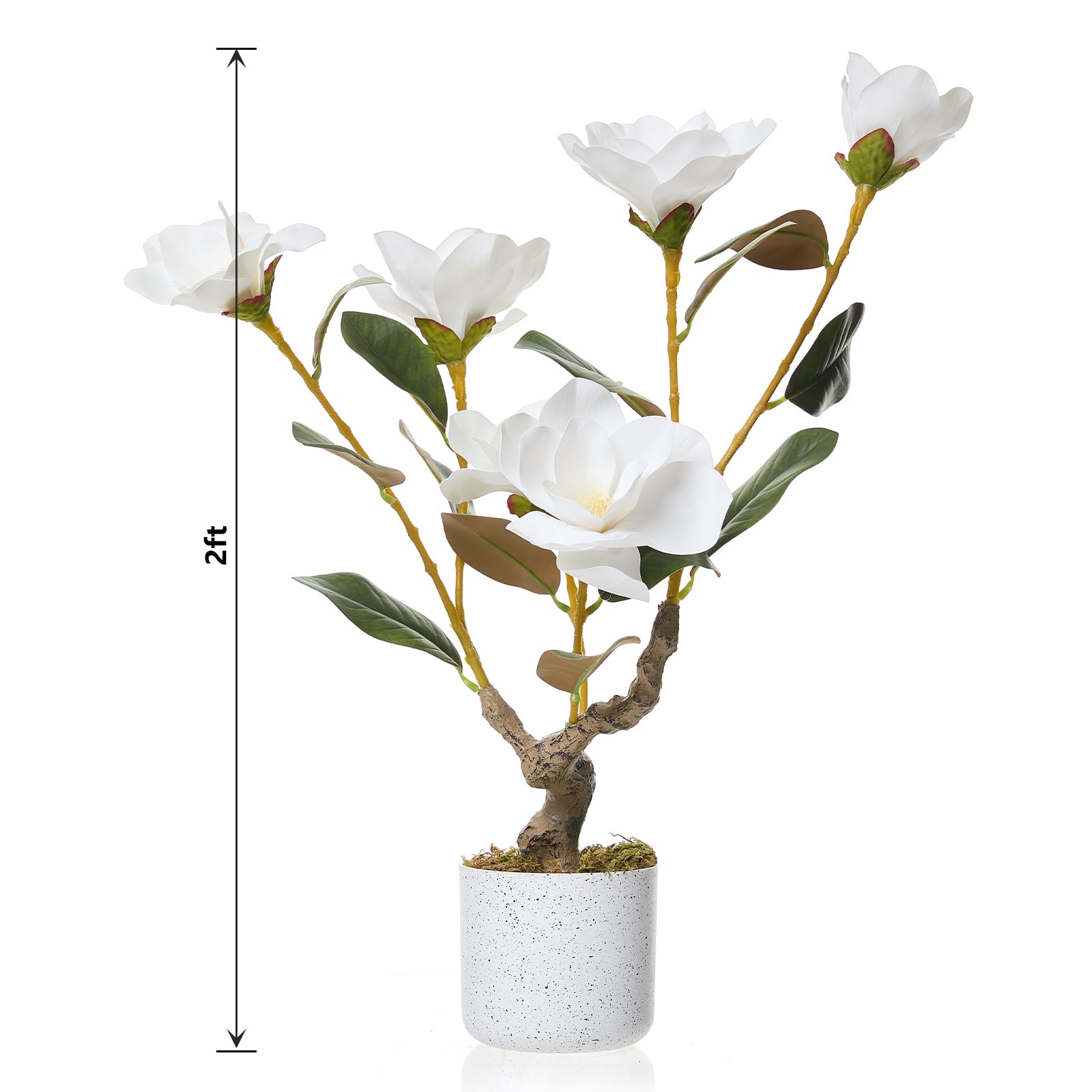 PHK_36EKW5X8