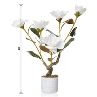 PHK_36EKW5X8
