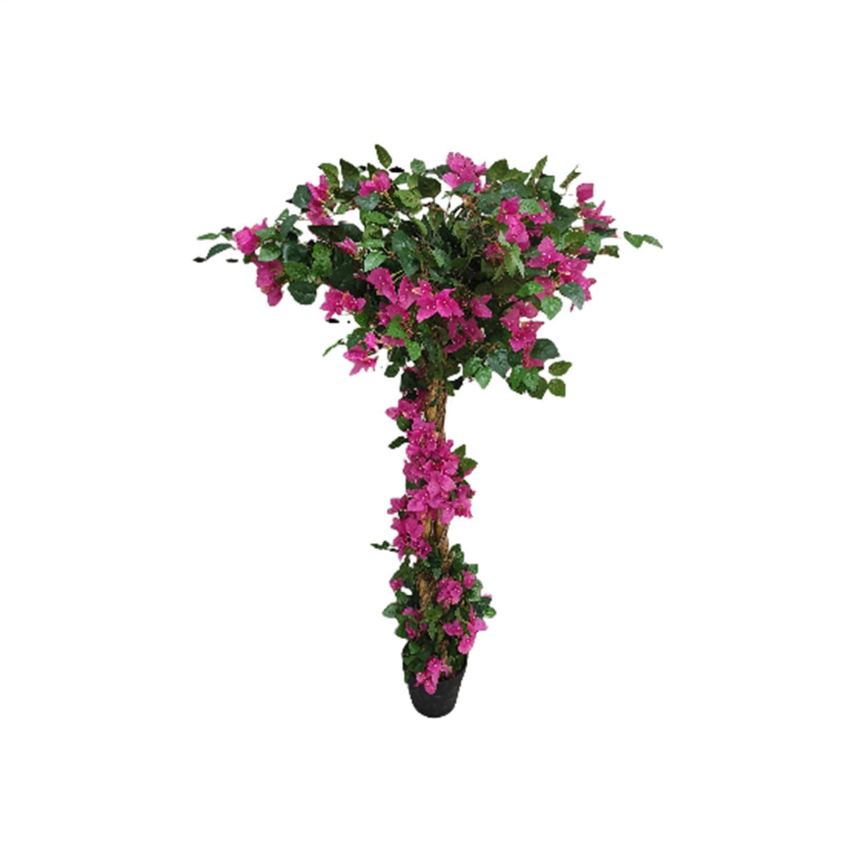 FQZOL_YDGQMC7B