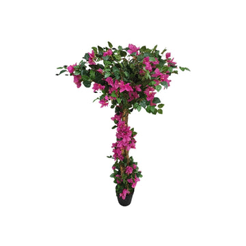 FQZOL_YDGQMC7B