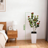 PHK_37GA6WW5
