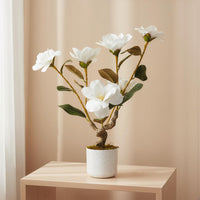PHK_36EKW5X8