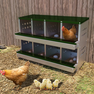 Garvee Caja de Anidación para Gallinas 2 Capas 8 Compartimentos, Acero Galvanizado, Con 8 Huevos Falsos, Fácil Limpieza, Montaje en Pared Gallineros, Verde Oscuro