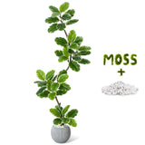 Garvee Planta Artificial Ficus Lyrata 150cm Maceta Hormigón Resistente UV Decoración Interior Exterior Verde Natural - Cuenco Gris Claro
