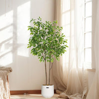 PHK_33JML49Y