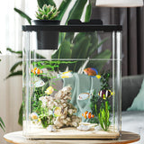 Garvee Acuario Completo Acrílico 4K HD Transparente con LED y Bomba, Tapa Antisalto, Fácil Limpieza para Hogar y Oficina 17x11x16.5cm - Negro Pequeño