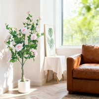 PHK_3677USD9