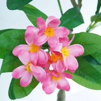 PHK_36763PND