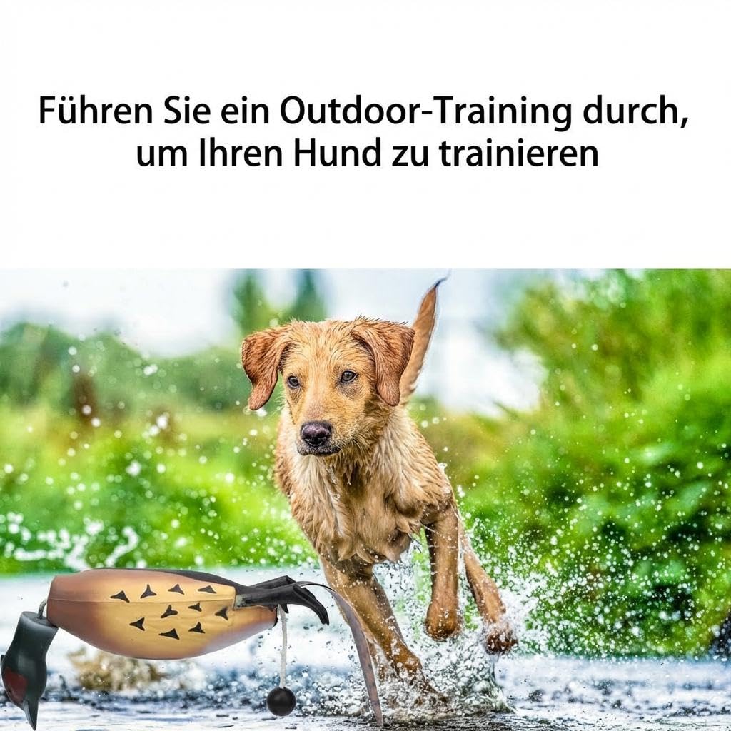 FQZPE_GXOAQH2B