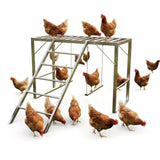 Garvee Percha para Pollos con Columpio, Barra de Posadero y Escalera, Acero Carbono Resistente, para Granjas y Patios, 100x100x70 cm, Negro