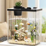 Garvee Pecera Pequeña 2 Galones Acuario de Vidrio con Bomba y Luz LED para Oficina y Hogar, Transparente, Fácil Alimentación - Negro Grande