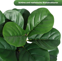 PHK_359KHELJ
