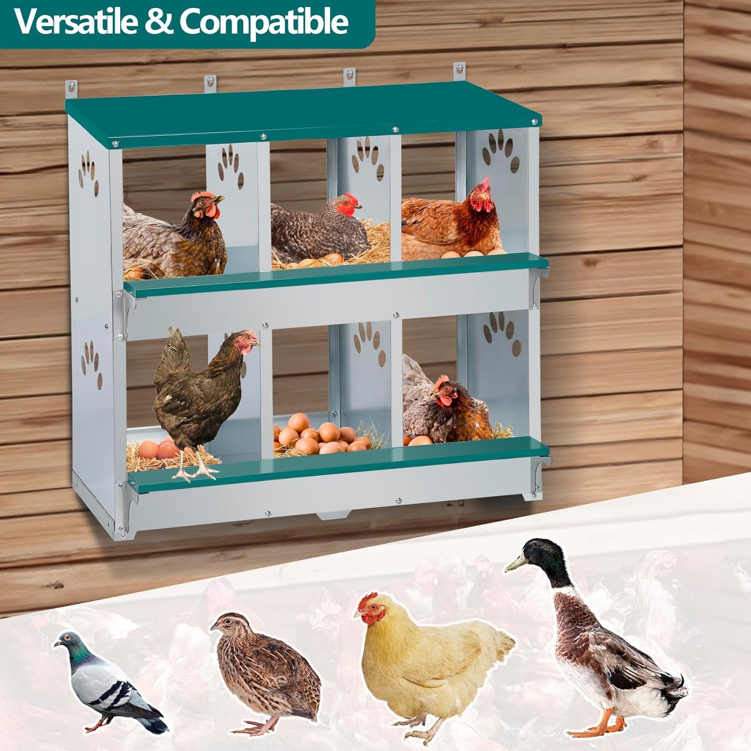Garvee Caja de Anidación para Pollos 2 Capas 6 Compartimentos con Patas, Acero Galvanizado, Con 6 Huevos Falsos, Bandeja de Huevos Barra de Posadero, Resistente a la Oxidación, Verde Oscuro