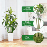Garvee Drachenbaum Artificial 150cm Planta Tropical Decorativa con Hojas Ajustables, Maceta Blanca, Ideal para Hogar y Oficina - Verde 1.52 m