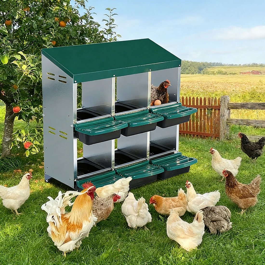 Garvee Ponedero Automático para Gallinas con 6 Huecos - Nido Metálico Galvanizado con Recogida Frontal Anti-Picoteo para Gallinero Exterior