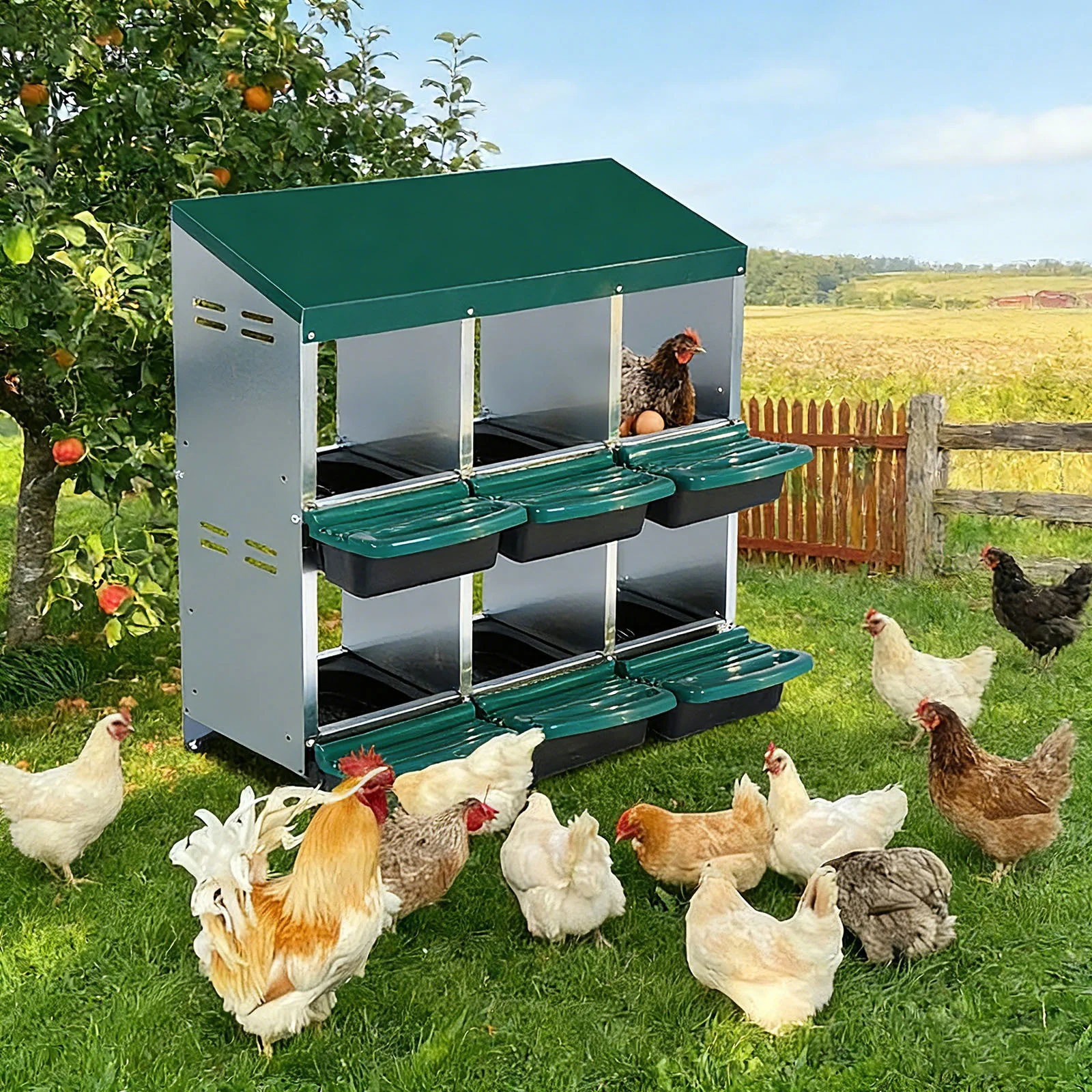 Garvee Ponedero Automático para Gallinas con 6 Huecos - Nido Metálico Galvanizado con Recogida Frontal Anti-Picoteo para Gallinero Exterior