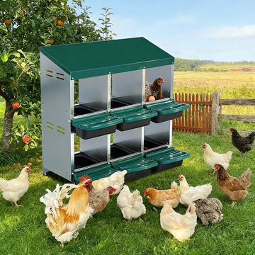Garvee Ponedero Automático para Gallinas con 6 Huecos - Nido Metálico Galvanizado con Recogida Frontal Anti-Picoteo para Gallinero Exterior