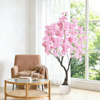 PHK_37HQBDTP