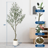 Garvee árbol de olivo artificial 182.9cm con maceta blanca moderna para hogar y oficina, realista, Boughs flexibles, material resistente - Verde