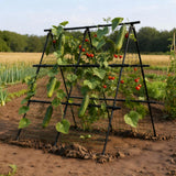 Garvee Gartenspalier Para Plantas Trepadoras Ajustable En A Con Clips De Sujeción, Acero Recubierto, Para Jardín Y Huerto, 120x120cm, Resistente