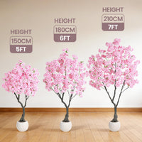 PHK_37HQBDTP