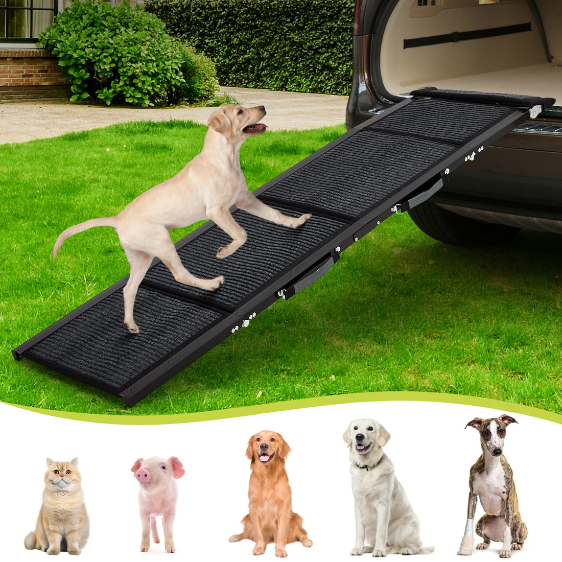 Garvee Rampa para Perros 4 Pliegues Plegable Aleación de Aluminio 1.3mm Tela No Tejida Extra Ancha Larga Antideslizante Capacidad 113.4kg para Perros Sofá Hogar y Coche 160x43.2cm