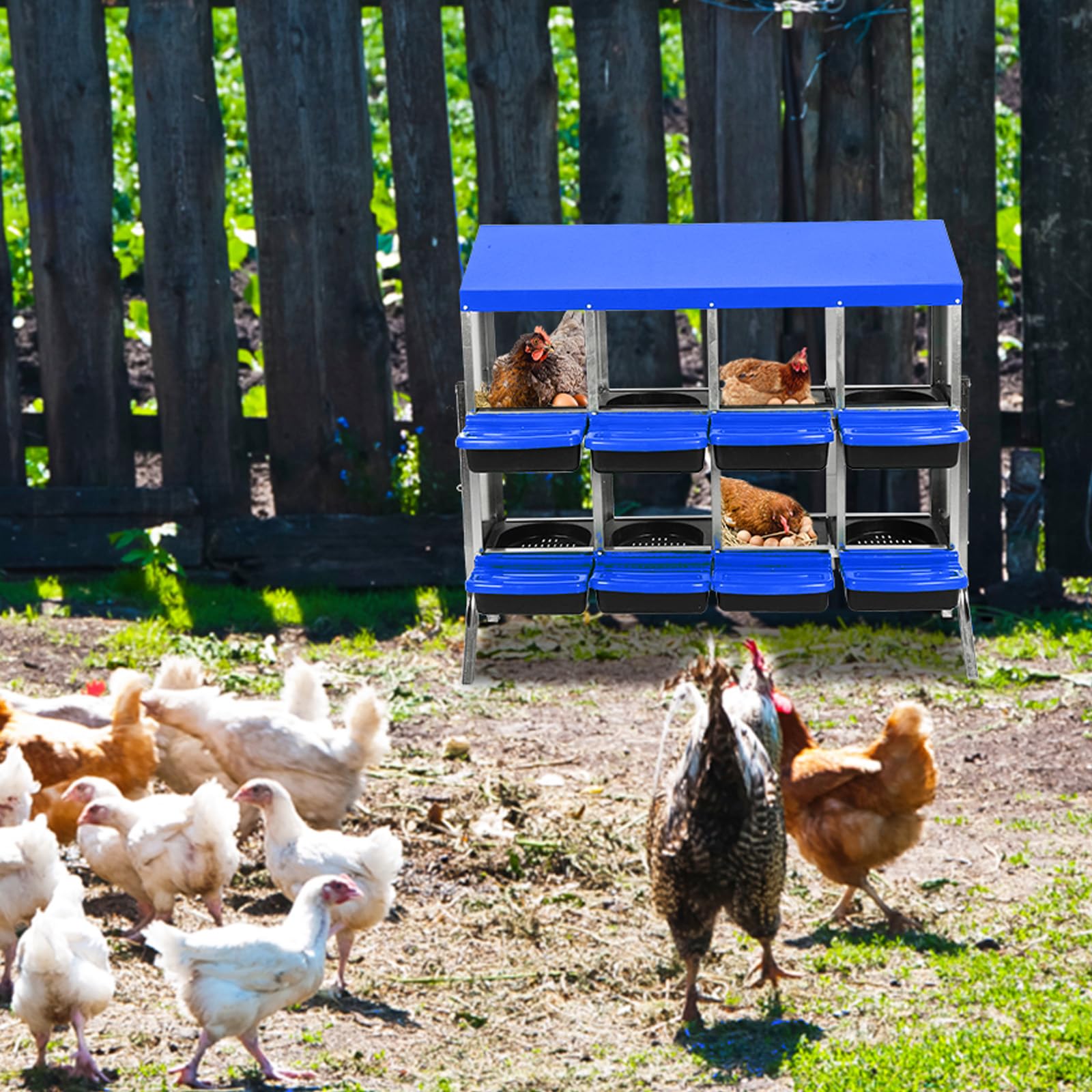 Garvee Caja de Nido para Pollos 8 Compartimentos con Soporte, Acero Galvanizado PP, Diseño Antideslizante, Fácil Limpieza Gallineros Granjas, Azul