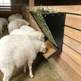 Garvee Comedero de Pared 2 en 1 para Heno y Grano, Acero al Carbono Resistente, Ajustable, para Cabras y Ovejas, Interior y Exterior, Grande, Negro - Negro
