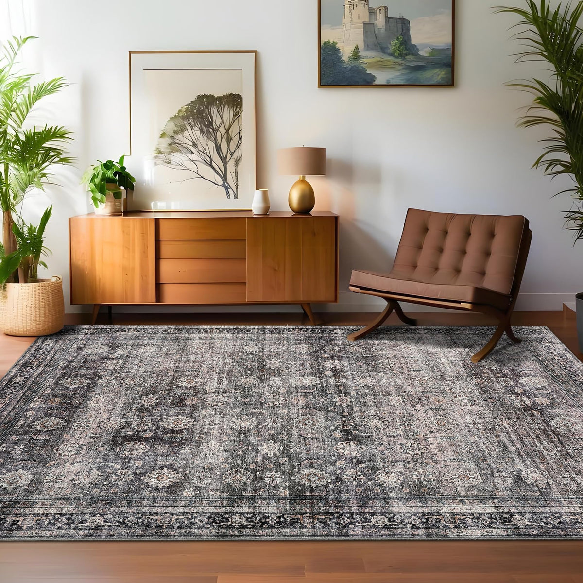 PHO_33TMQTJX