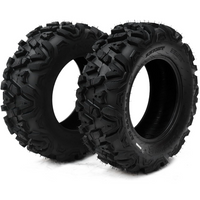 Juego de 2 Neumáticos ATV/UTV 22x10-10, Llantas Todoterreno de 6 Capas (6PR), Neumáticos Tubeless para Quad y Buggy, Diseño de Tracción para Barro, Arena, Nieve y Rocas, Garvee AT22x10-10