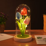 Garvee Lámpara de Tulipanes en Cúpula de Vidrio con Luz LED Nocturna y Flor Eterna para Decoración del Hogar y Regalo Romántico - Colores Mixtos