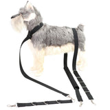 Garvee Set De Cuidado Para Mascotas PP 3 Piezas Azul - Arnés Para Perros Con Correa De Baño Y Cinturón Abdominal - Nylon Resistente Y Ajustable - Protección Acolchada - Ideal Para Baño Y Entrenamiento - Azul