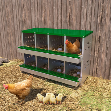 Garvee Caja de Anidación para Gallinas 2 Capas 8 Compartimentos, Acero Galvanizado, Con 8 Huevos Falsos, Fácil Limpieza, Montaje en Pared Gallineros, Verde Oscuro