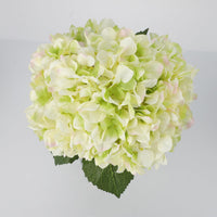 PHK_3754G7DI