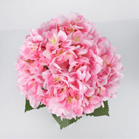 PHK_3754LUP6