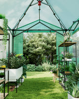 Garvee Carpa de Cultivo Duradera de Fácil Montaje con Puertas de Cremallera para Jardineros en Balcones o Terrenos 240x360cm Transparente - Verde