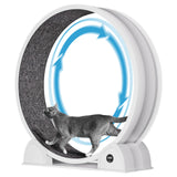 Garvee Rueda de Ejercicio para Gatos 114 cm Caminadora Silenciosa de ABS con Podómetro Inteligente Blanco - Blanco