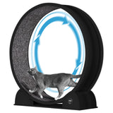 Garvee Rueda de Ejercicio para Gatos de Interior con 114 cm de Diámetro y Podómetro Digital, ABS Silenciosa y Multifuncional, Negro - Negro