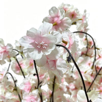 PHK_39TQY7WP