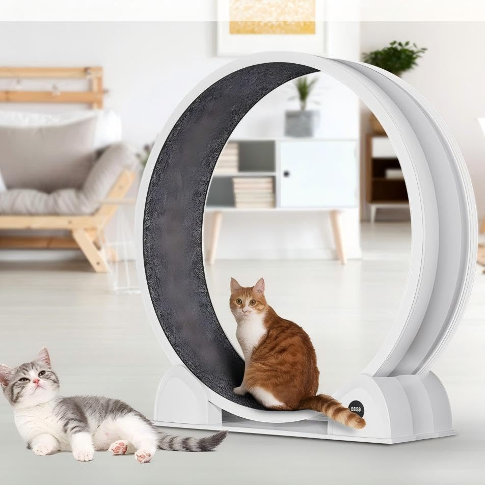 Garvee Rueda de Ejercicio para Gatos 114 cm Caminadora Silenciosa de ABS con Podómetro Inteligente Blanco
