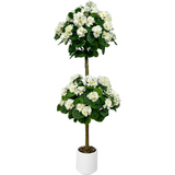 Garvee Geranio Artificial de Doble Bola, Planta Decorativa Realista de Seda para Interior y Exterior Protegido, 120 cm, Maceta Blanca - Blanco