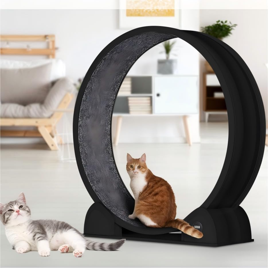 Garvee Rueda de Ejercicio para Gatos de Interior con 114 cm de Diámetro y Podómetro Digital, ABS Silenciosa y Multifuncional, Negro